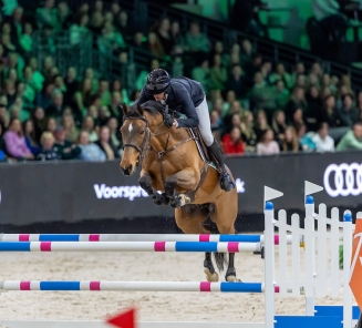 New Libero One d'Asschaut (Van Gogh x For Pleasure) Winner of the President's Cup Abu Dhabi