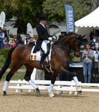 Corsendonk Dressage Cup - 11e editie