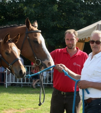 Fokkerijdag Pittem Torhout