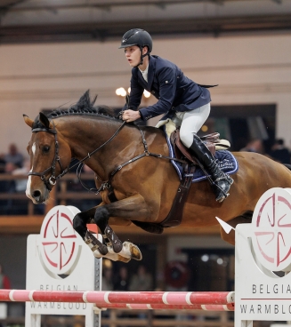Prestige vh Kluizebos Nuytens Hengstencompetitie