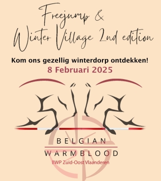 Flyer finale vrijspringen
