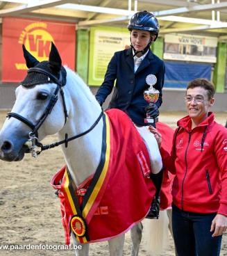 bestgaande rijpony