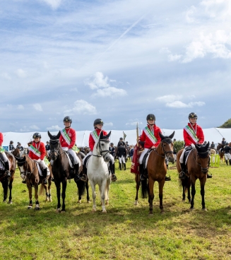 nationaal ponytornooi