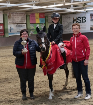bestgaande rijpony mechelen sumba