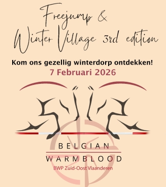 flyer finale