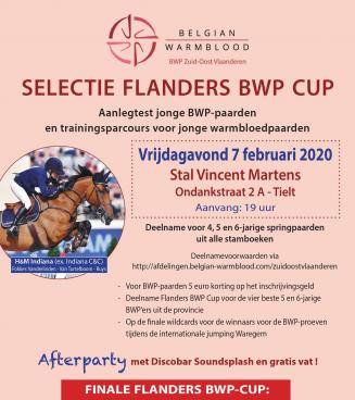 Selectie Flanders BWP Cup en trainingsparcours jonge springpaarden BWP Zuid-Oost-Vlaanderen Selectie Flanders BWP Cup en trainingsparcours jonge springpaarden BWP Zuid-Oost-Vlaanderen