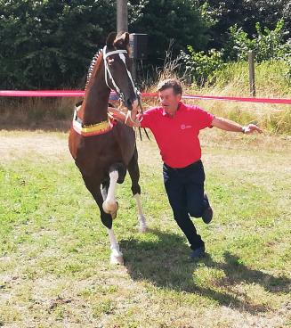 Nationale prijskamp Tuigpaarden