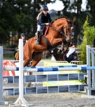 Wedstrijd Bestgaande Rijpony, Maldegem (OVL & WVL) Wedstrijd Bestgaande Rijpony, Maldegem (OVL & WVL)
