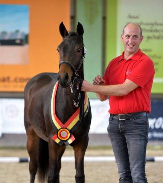 Concours national BRp, Heist o/d Berg Concours national BRp, Heist o/d Berg