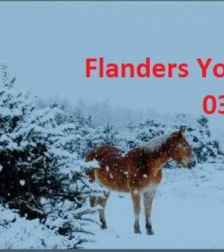 Flanders Younster Trials 09/03/2019
