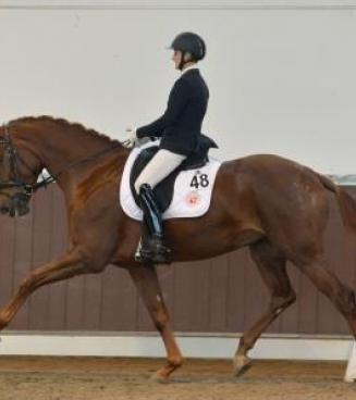 Emmerscup: aanlegtest dressuur Emmerscup: aanlegtest dressuur