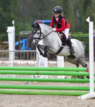 Bestgaande Rijpony, Oost- en West-Vlaanderen (Maldegem) Bestgaande Rijpony, Oost- en West-Vlaanderen (Maldegem)