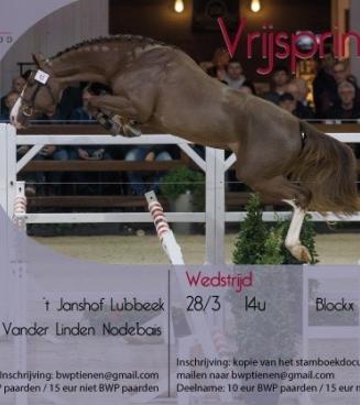 Wedstrijd vrijspringen, BWP Tienen Wedstrijd vrijspringen, BWP Tienen