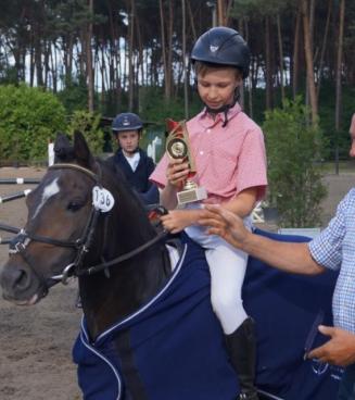 Bestgaande Rijpony, Antwerpen en Limburg (Pulderbos)