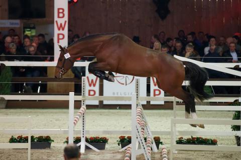 FIDES DU MAS GARNIER 15210053H FIDES DU MAS GARNIER 15210053H