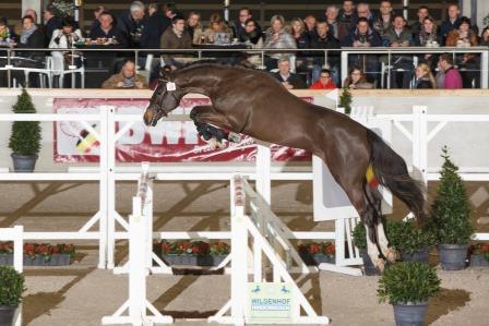 LE BLUE DIAMOND VAN 'T RUYTERSHOF LE BLUE DIAMOND VAN 'T RUYTERSHOF