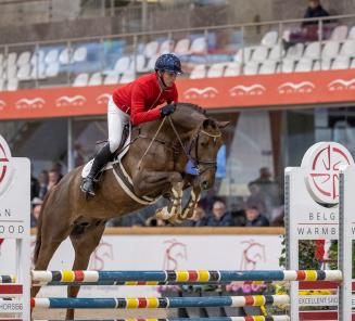 Saltador Ter Putte auction topper BWFA Saltador Ter Putte auction topper BWFA