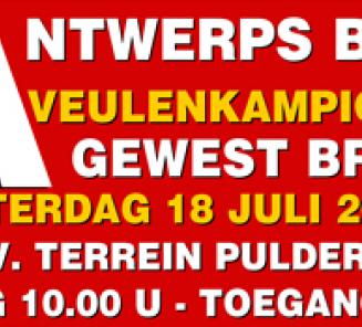 Schrijf nu uw veulen in voor de lustrumeditie van het Antwerps Veulenkampioenschap Schrijf nu uw veulen in voor de lustrumeditie van het Antwerps Veulenkampioenschap