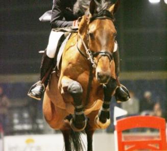 Topproduct uit gewest Oud-Turnhout Topproduct uit gewest Oud-Turnhout