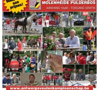 Onverwacht veel inschrijvingen op Antwerps Veulenkampioenschap! Onverwacht veel inschrijvingen op Antwerps Veulenkampioenschap!