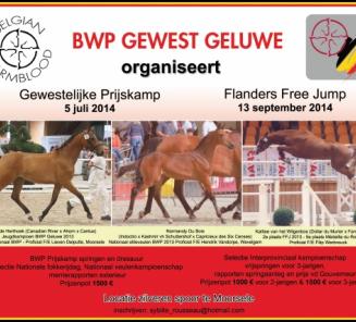 BWP Geluwe wenst jullie een gezond en gelukkig 2014 toe BWP Geluwe wenst jullie een gezond en gelukkig 2014 toe