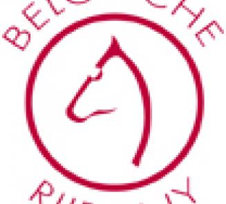 Keuring van de kandidaat ponyhengsten 2015 Keuring van de kandidaat ponyhengsten 2015