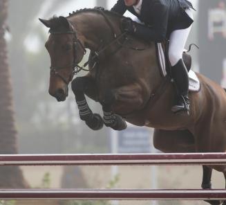 D'Ulien of Smeets & McLain Ward 3rd in Wellington D'Ulien of Smeets & McLain Ward 3rd in Wellington