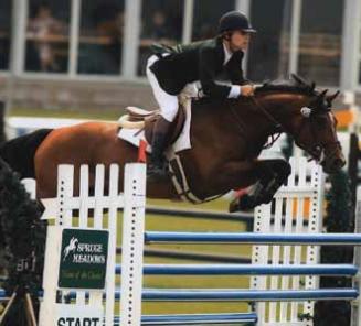 Elitehengst ASB Conquistador (Bush vd Heffinck) wint 1.45 Elitehengst ASB Conquistador (Bush vd Heffinck) wint 1.45