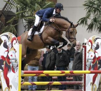Hengstencompetitie 7j: Vrins en Cumthago C eindoverwinnaars Hengstencompetitie 7j: Vrins en Cumthago C eindoverwinnaars