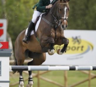 Abberuail vh Dingeshof wint GP Hardenberg! Abberuail vh Dingeshof wint GP Hardenberg!