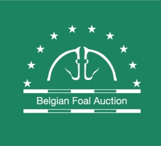 Selectie Belgian Foal Auction 6 juli 2015 Selectie Belgian Foal Auction 6 juli 2015