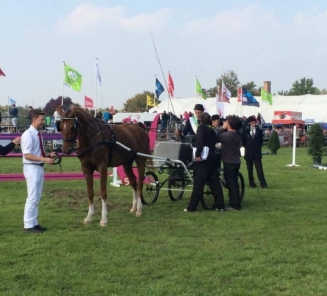 Uitslag aangespannen wedstrijd ? tuigpaarden ? Nationaal Ruitertornooi Uitslag aangespannen wedstrijd ? tuigpaarden ? Nationaal Ruitertornooi