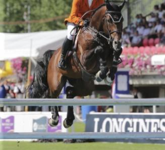 St Lô: Eldorado vd Zeshoek 2de in GP St Lô: Eldorado vd Zeshoek 2de in GP