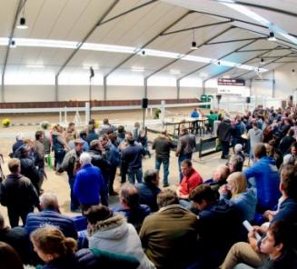 Toppers melden zich morgen op de 'National Free Jump Contest' Toppers melden zich morgen op de 'National Free Jump Contest'