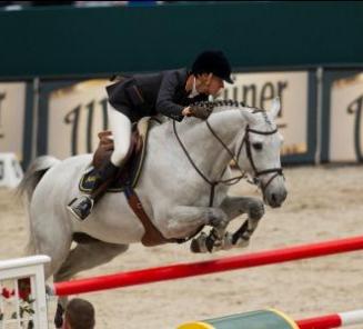 GCT finale: goede start voor Guess ter Wilgen, Winningmood vd Arenberg en Giovanni vh Scheefkasteel GCT finale: goede start voor Guess ter Wilgen, Winningmood vd Arenberg en Giovanni vh Scheefkasteel