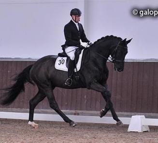 Verslag Corsendonk Dressage Cup 2015: BWP-dressuur elitewaardig? Verslag Corsendonk Dressage Cup 2015: BWP-dressuur elitewaardig?