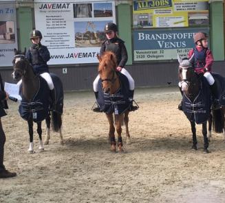 Ponyfokkerij en ponysport in spannende Nabor Cup Ponyfokkerij en ponysport in spannende Nabor Cup