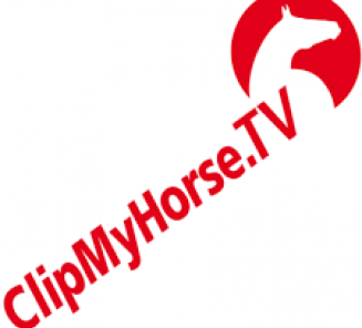 Third Phase BWP Stallion Selection show on ClipMyHorse Third Phase BWP Stallion Selection show on ClipMyHorse