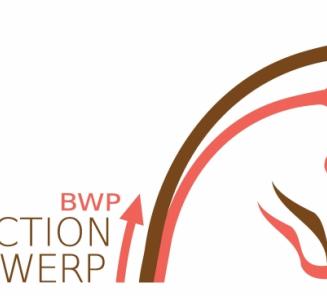 Selecties voor BWP Auction Antwerp Selecties voor BWP Auction Antwerp
