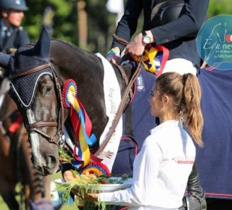 Go Easy de Muze blijft winnen Go Easy de Muze blijft winnen