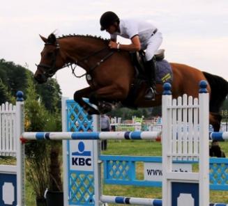 BWP vooraan op verschillende manches SBB-Competitie voor Jonge Paarden