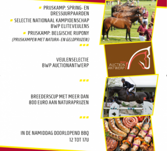 BWP Tienen pakt uit met Fokkerijdag BWP Tienen pakt uit met Fokkerijdag