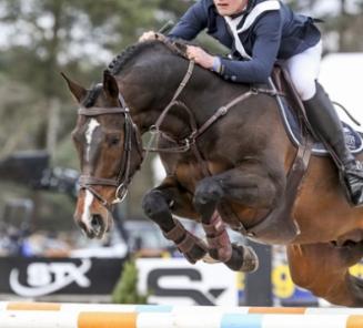 Okidoki van 't Gelutt wint GP Bonheiden Okidoki van 't Gelutt wint GP Bonheiden