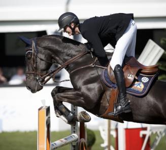 Go Easy de Muze v. Vigo D'Arsouilles word 3e in Grand Prix Falsterbo Go Easy de Muze v. Vigo D'Arsouilles word 3e in Grand Prix Falsterbo
