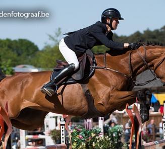 Gilles Thomas & Indiana vh Kapelhof Europees Kampioen! Gilles Thomas & Indiana vh Kapelhof Europees Kampioen!