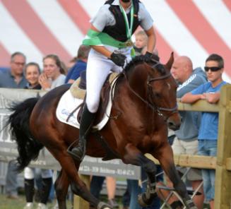 Nationaal Ponytornooi LRV: Julie Van den Bulck wint DM met BRp-goedgekeurde hengst Principal Dream vd Delthoeve Nationaal Ponytornooi LRV: Julie Van den Bulck wint DM met BRp-goedgekeurde hengst Principal Dream vd Delthoeve