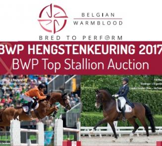 Website hengstenkeuring 2017 online Website hengstenkeuring 2017 online