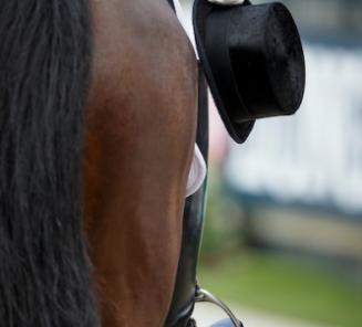CDI 3* Le Mans: Devroe & Eres DL presteren CDI 3* Le Mans: Devroe & Eres DL presteren