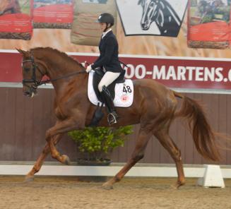 Miss Dior van den Bruel en Nercos vd Kempenhoeve winnen Corsendonk Dressage Cup! Miss Dior van den Bruel en Nercos vd Kempenhoeve winnen Corsendonk Dressage Cup!