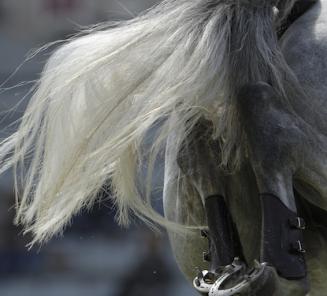 Olympia - The London International Horse Show 2016